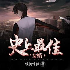 史上最佳女婿有声小说