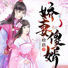 娇妻傻婿有声小说